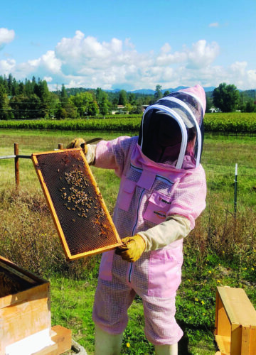 Naturally Made Certification for Beekeepers and Mushroom Growers